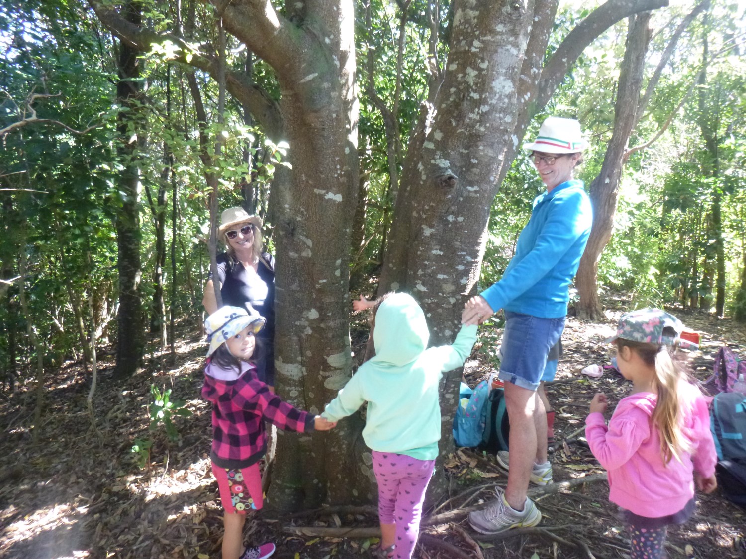 Te Ngahere - The Bush