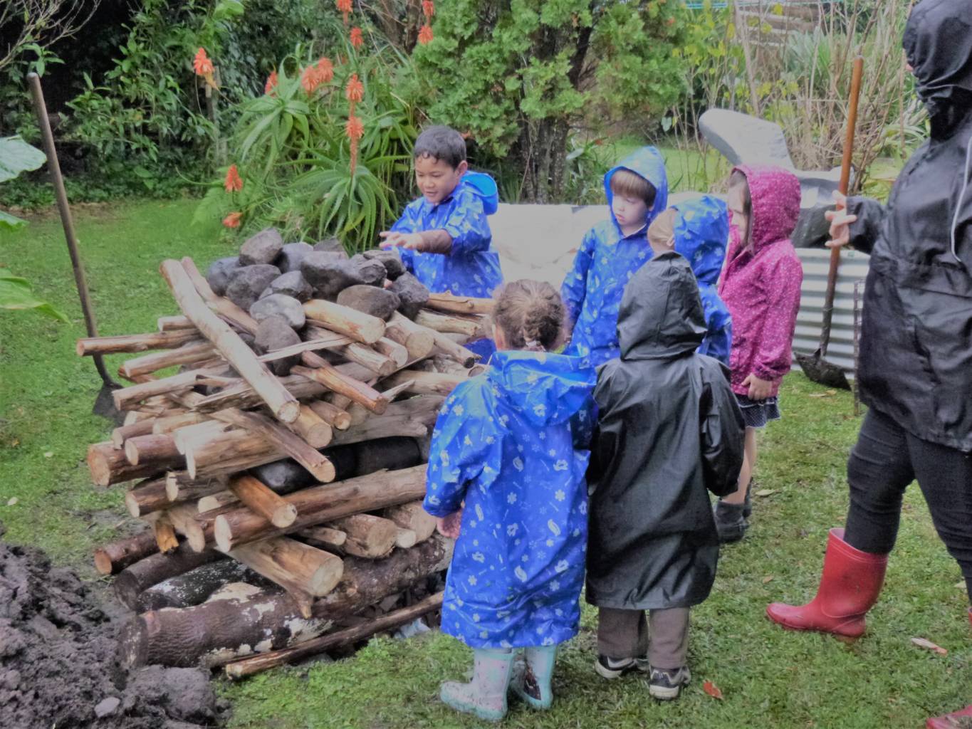 Whānau  Hangi